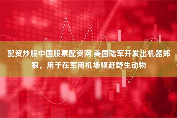 配资炒股中国股票配资网 美国陆军开发出机器郊狼，用于在军用机场驱赶野生动物
